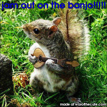 banjo