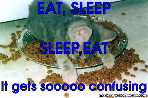 EAT, SLEEP