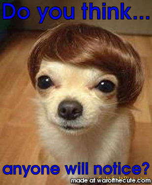 Do you think...
