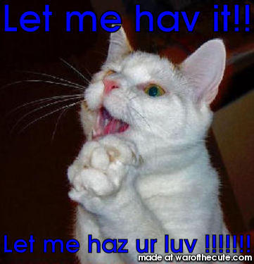 Can I haz it