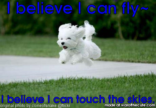 Flying Dog? Yes.