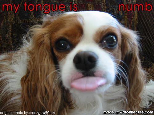 im number dan u