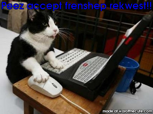 Facebook cat