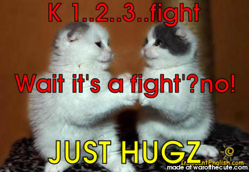 Kitty cat fight