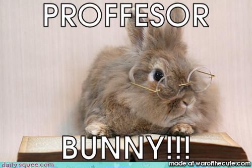 PROF BUNNY