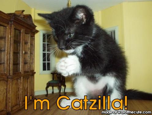 Catzilla