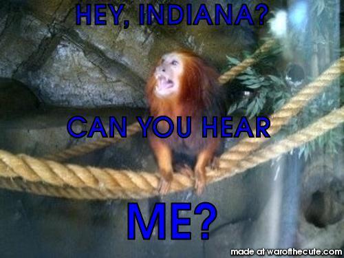 Indiana Jones: The Monkey