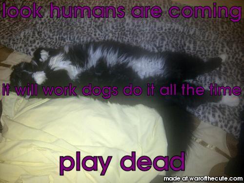 dead