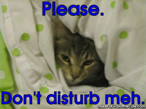 Please.
