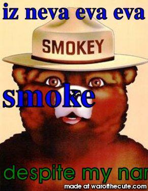 the lying bear