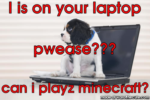 puppy