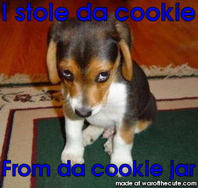  cookie