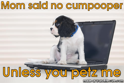 Pet me or else