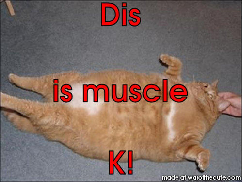 fatcat!