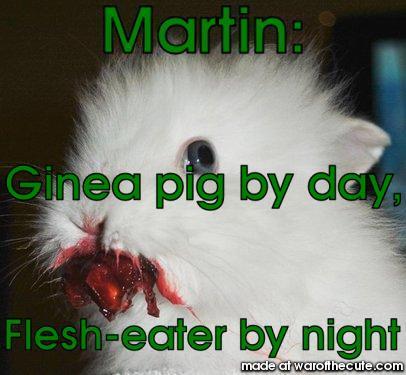 Bloody Gineapig