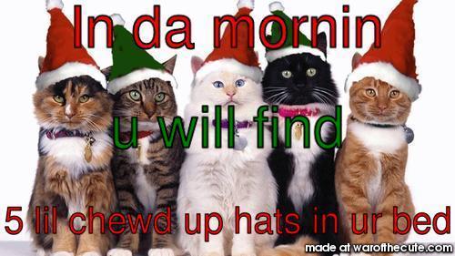 Christmas cats