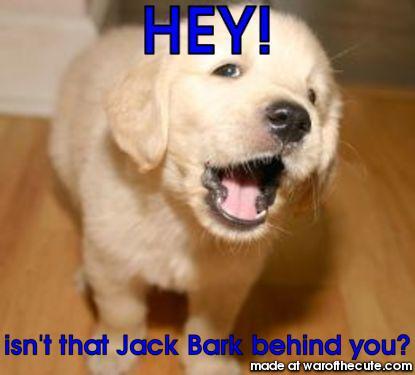 Jack Bark