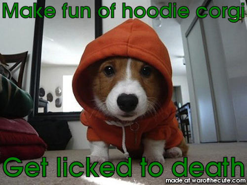 Hoodi Corgi