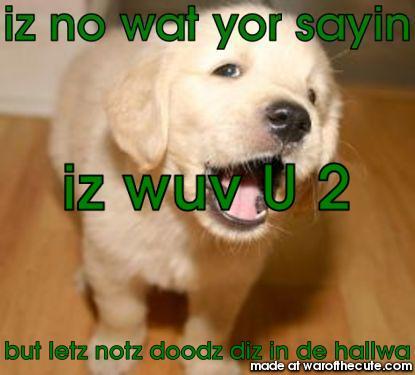 throwuping dog