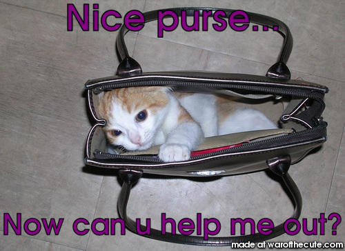 stuck in a purse