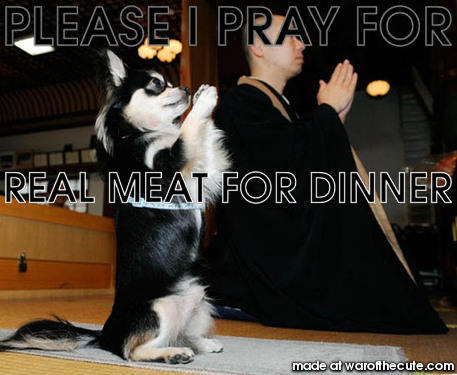 PLEASE I PRAY FOR