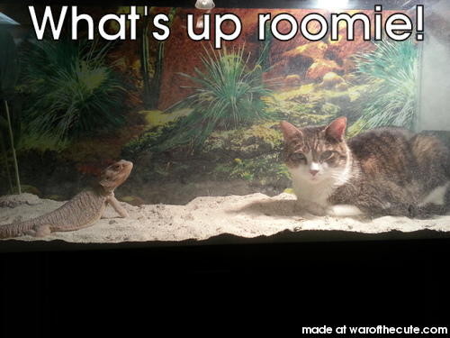 What's up roomie! 