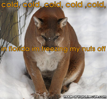 cold, cold, cold,