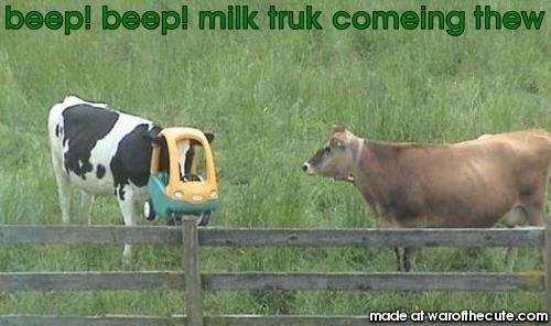 beep! beep! milk truk comeing thew