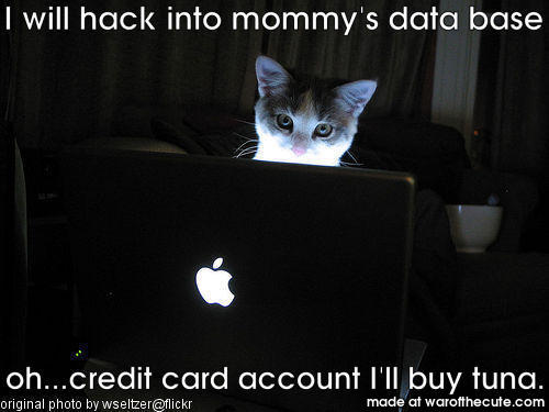 cat hacker