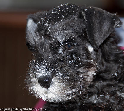 a bit of snow