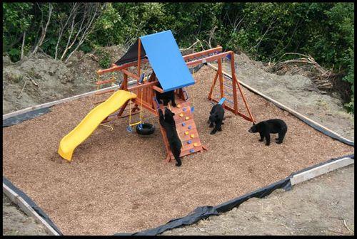 bears on the playground