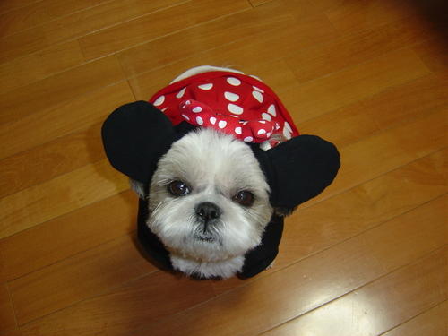 Minnie