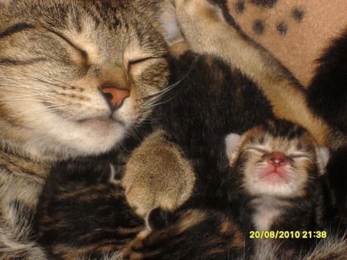 Mummy & Baby