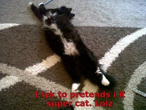 Supercat